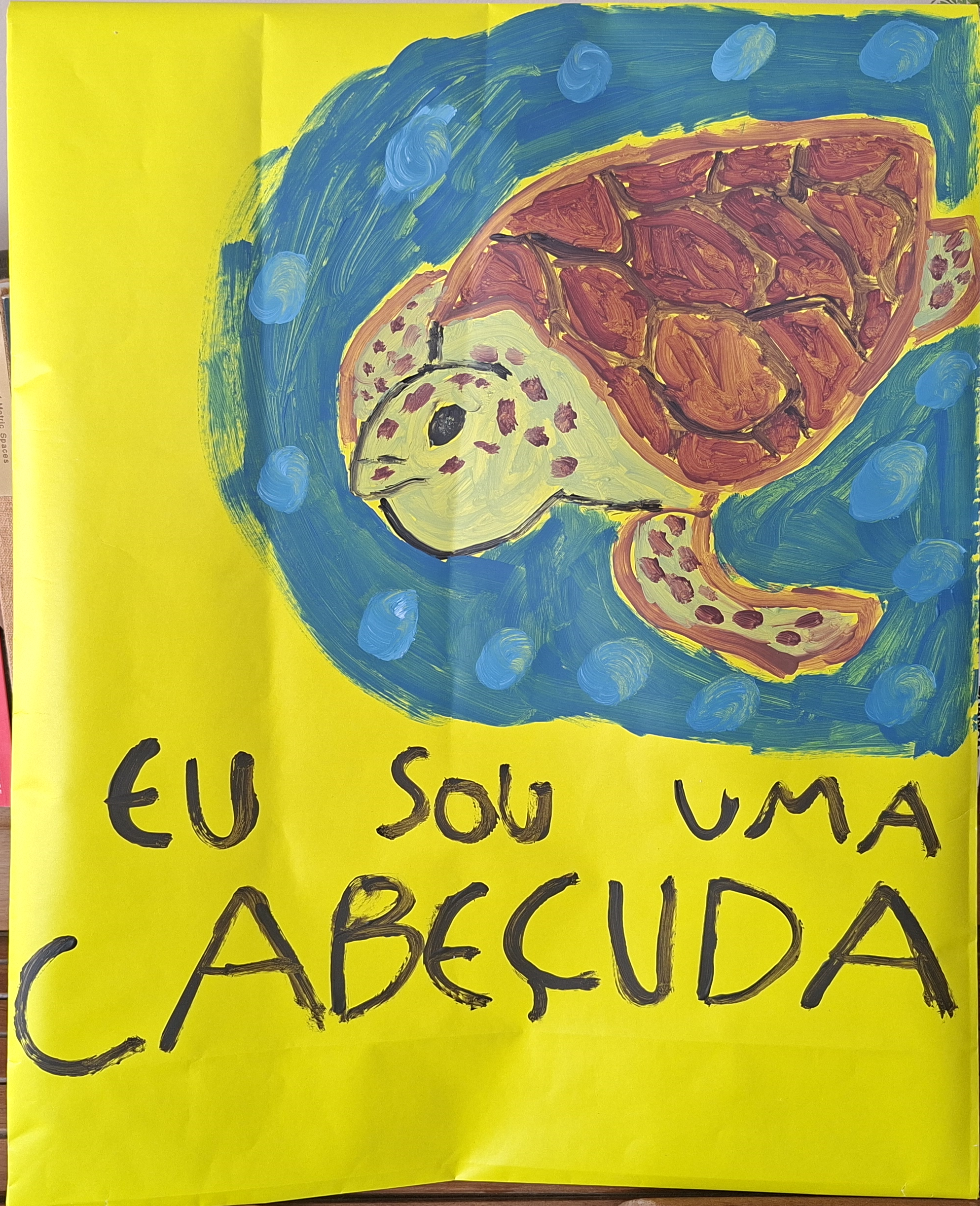 Deixa a tartaruga nadar